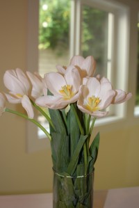 This Morning's Flowers for Mom