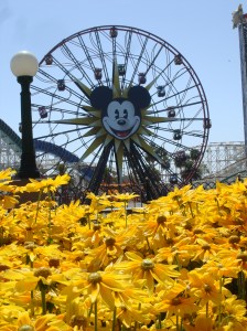 The Happiest Place on Earth